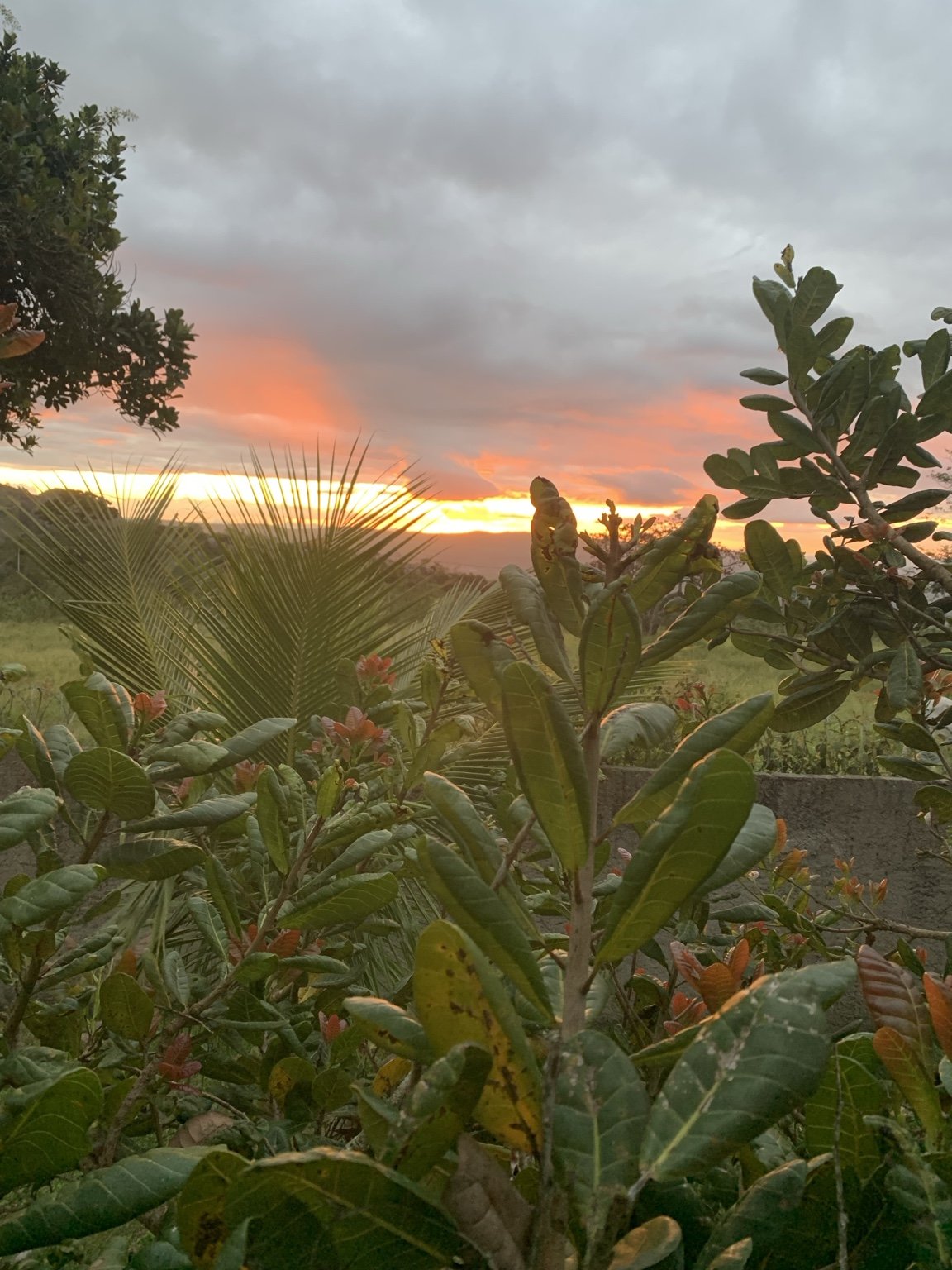 Pôr do sol em tons alaranjados na vegetação da serra