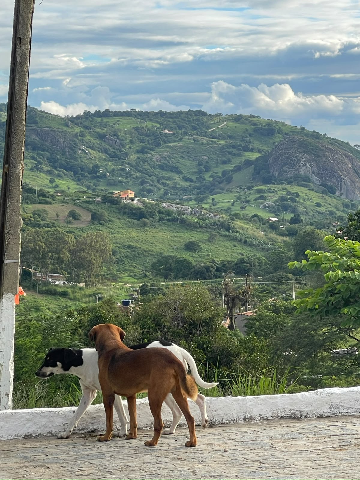 Fotografia de Serra Negra, Bezerros, enviada pela proprietária — imagem 2
